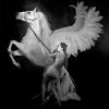 Paal Anand Fine Art – 229