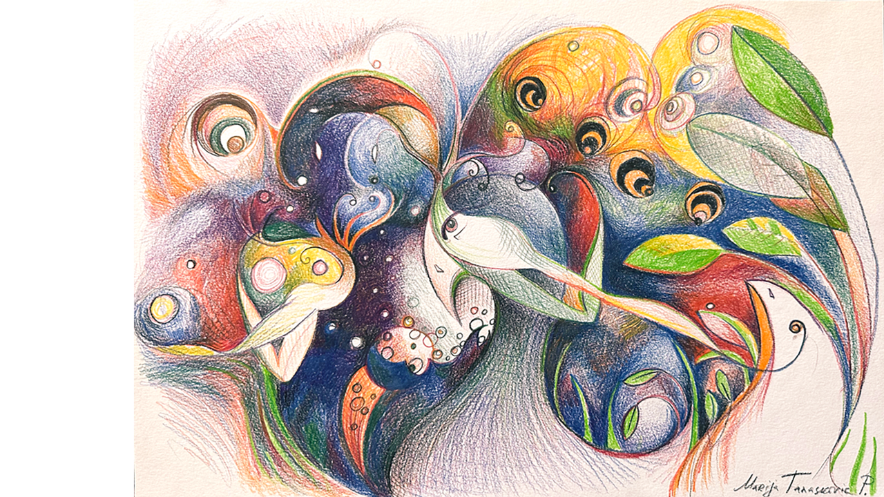 sophisticated-wings-redwood(2)