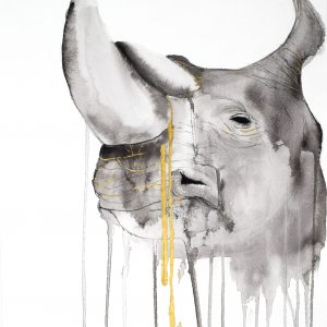 Artwork by Stefanie Demas, "Rhino"