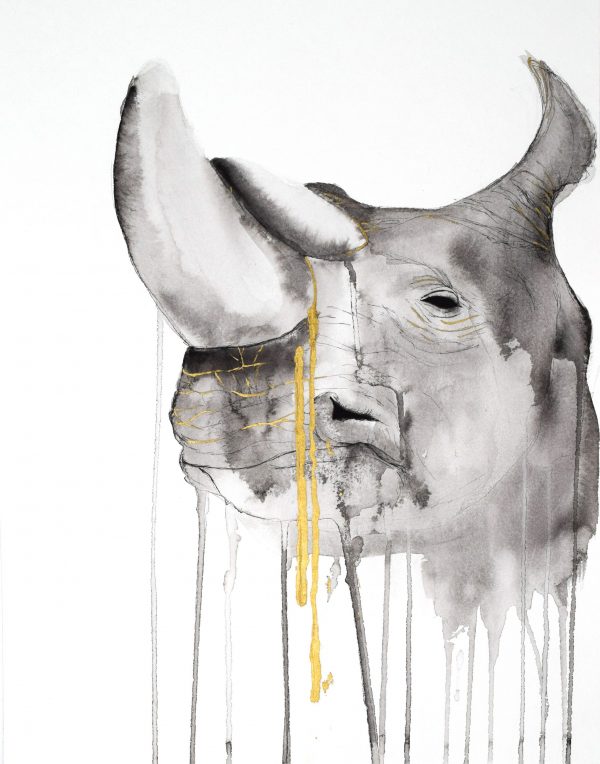 Artwork by Stefanie Demas, "Rhino"