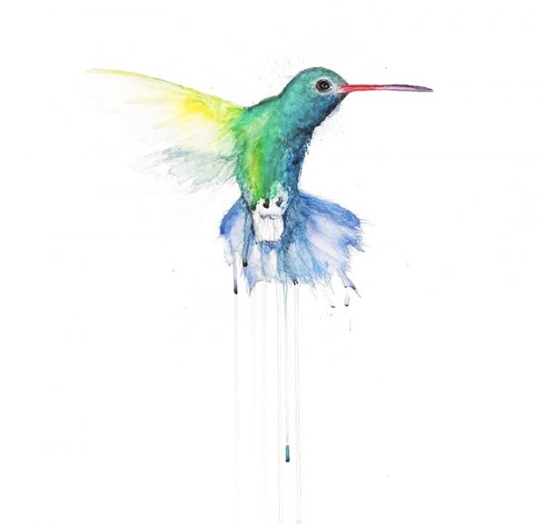 stefanie-demas_hummingbird