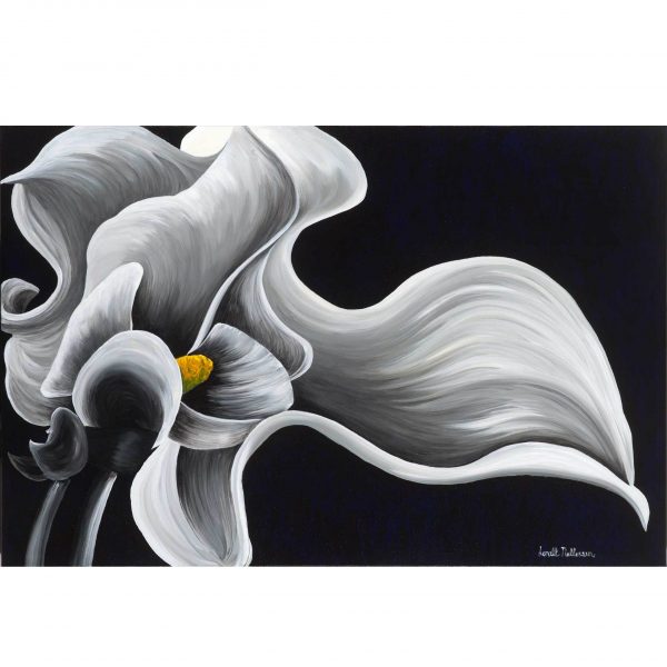 A Callas Caress