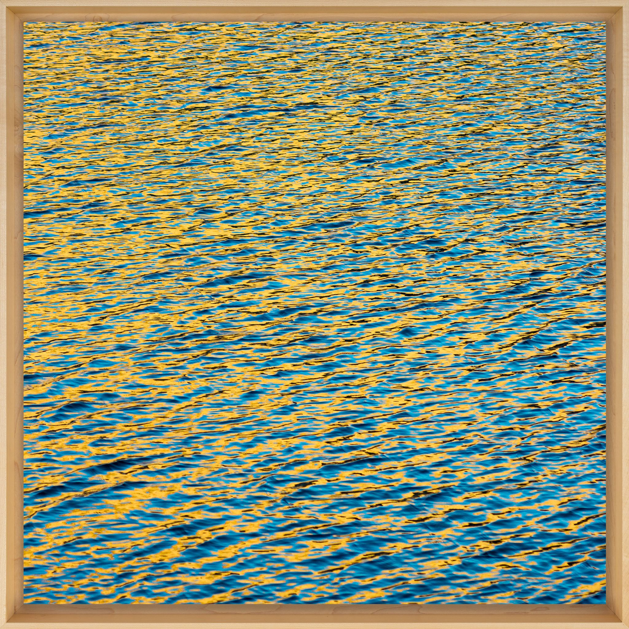 Blue and Gold | Redwood Art Group