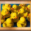 Clusterduck with a gold frame