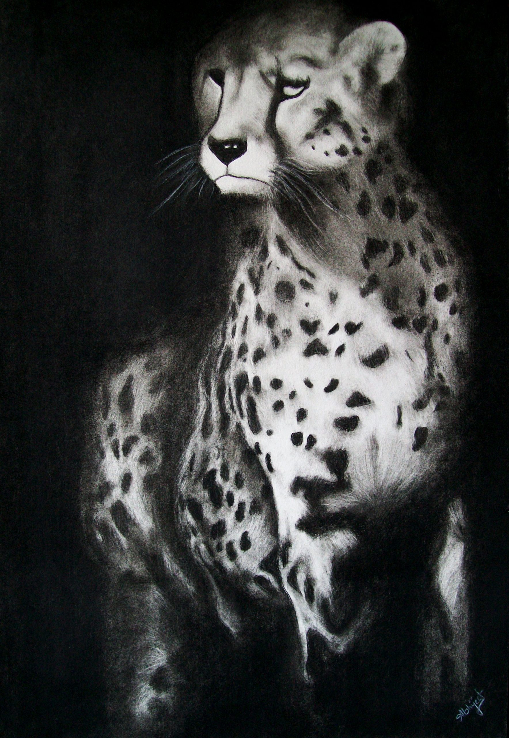 Buy Cheetah Handmade Painting by SAIKAT CHOUDHURY. Code:ART_35_11207 -  Paintings for Sale online in India.