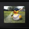 Fowl Ball with a black frame