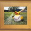 Fowl Ball with a gold frame