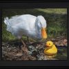 If It Looks Like a Duck with a black frame