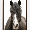 Tori_Gagne_GALLERY_DK_WAL_Amante